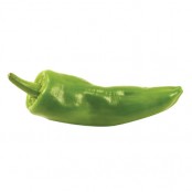 Poivron Vert