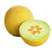 Melon Vert