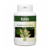 GPH DIFFUSION  BOLDO...