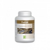 GPH DIFFUSION  Algue Fucus...