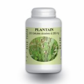 GPH DIFFUSION Plantain Bio...