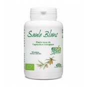 GPH DIFFUSION Saule Blanc...