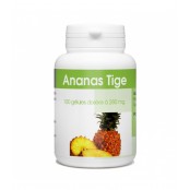 GPH DIFFUSION  Ananas Tige...