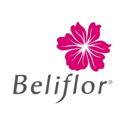 Beliflor